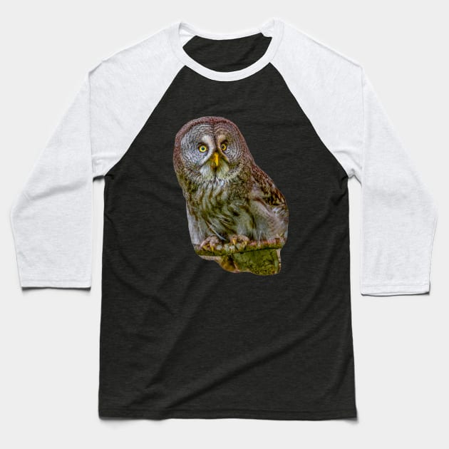 The Phantom of the North - The Great Grey Owl Baseball T-Shirt by dalyndigaital2@gmail.com